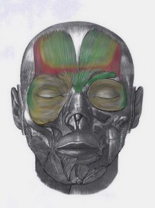 Tavola originale: Analisi morfofunzionale di una neuromodulazione ben eseguita